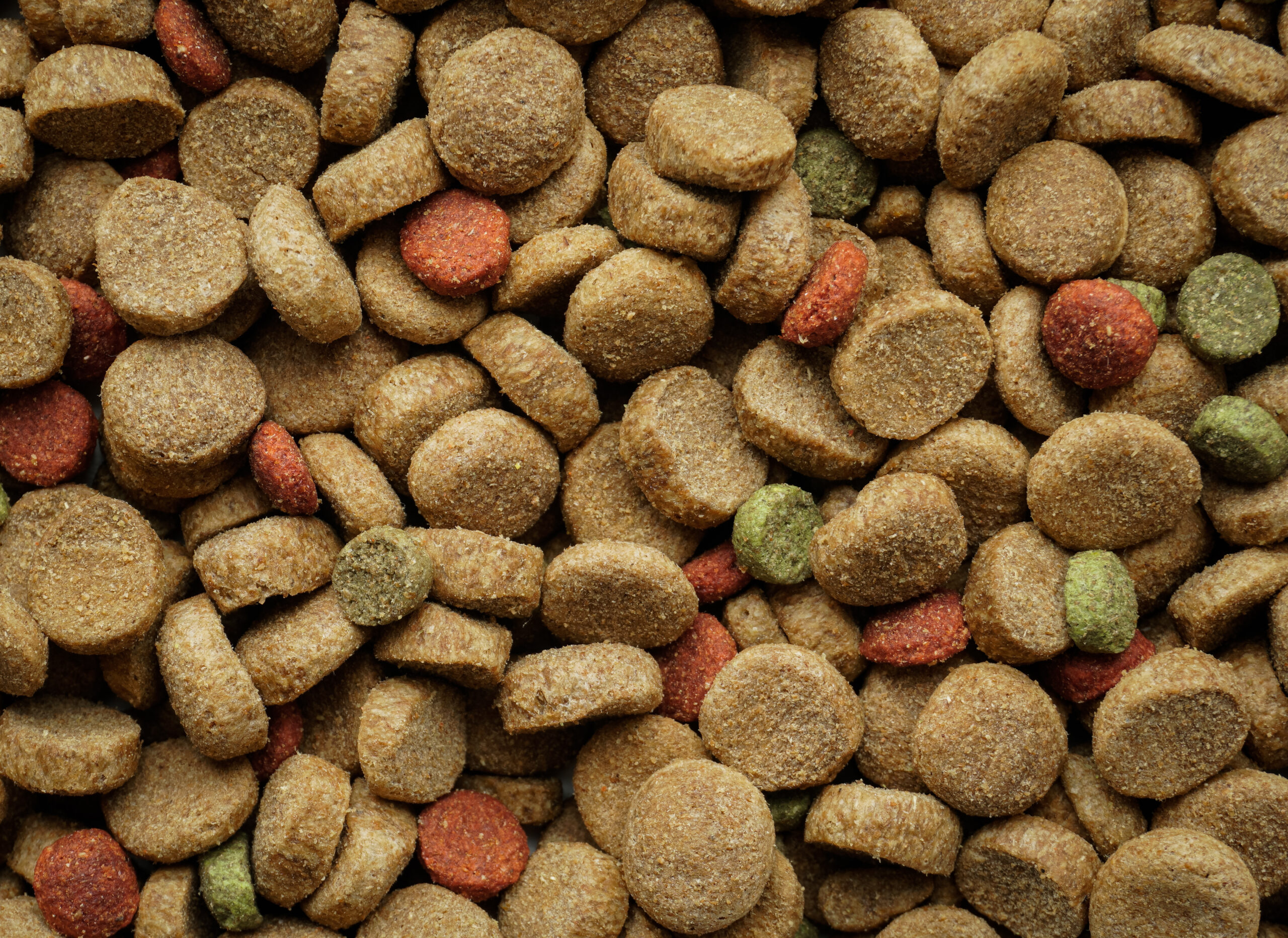 background texture pet food for dogs and cats.